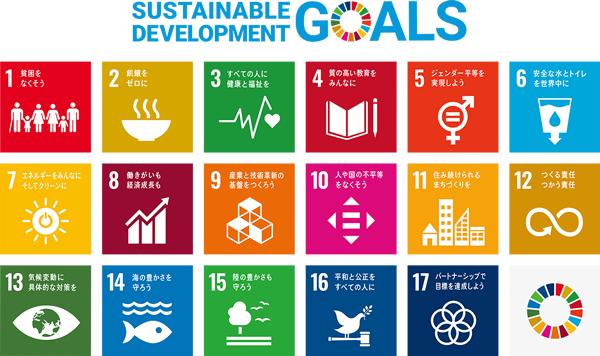 SDGs 17 Goal Icon